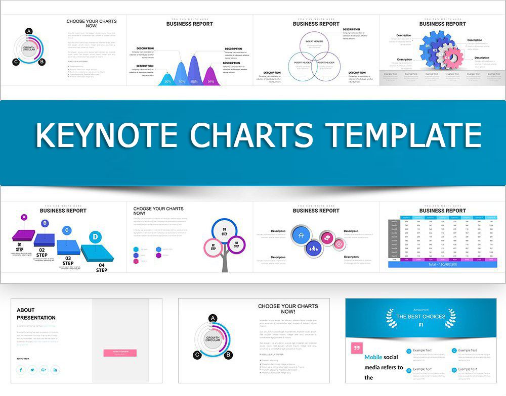 Professional Business Report Keynote Charts