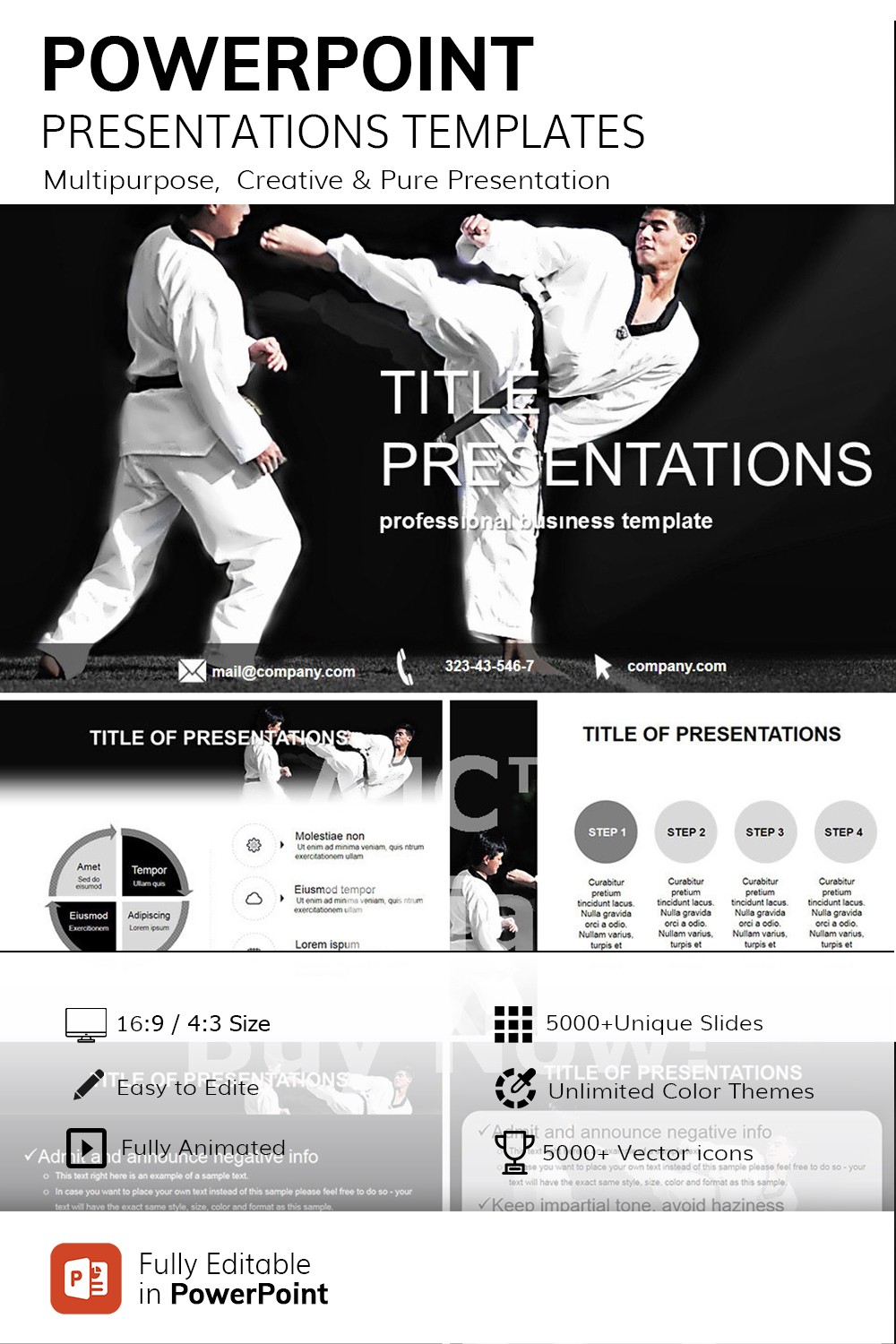 powerpoint presentation on karate